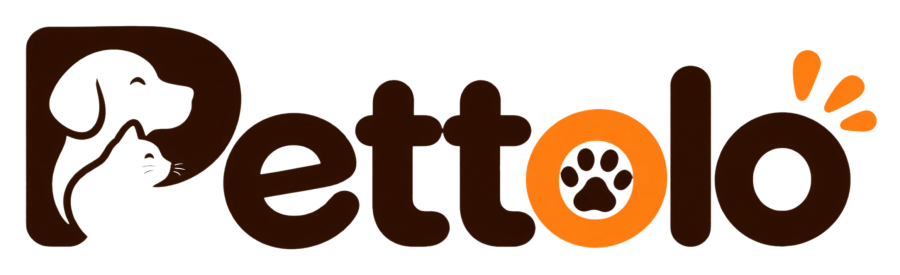 Pettolo
